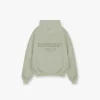 Represent Owners Club Hoodie - Pastel Green> Hoodies